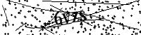 请在下面输入字母和数字